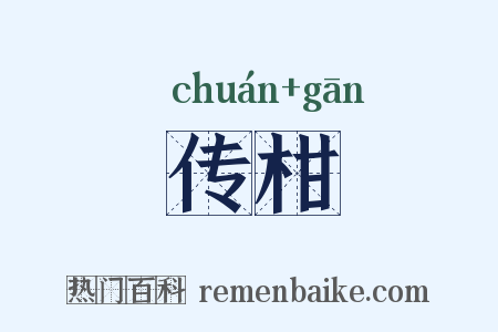 传柑是什么意思的图片
